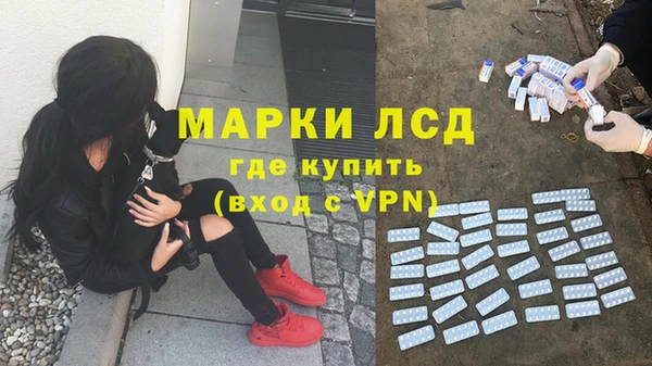 сатива Касимов