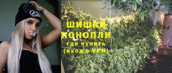 сатива Касимов