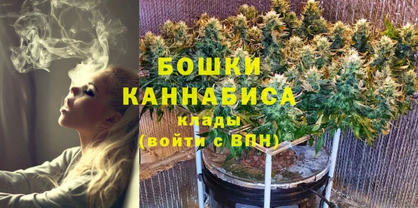 хмурый Каменка