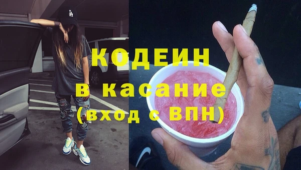 хмурый Каменка