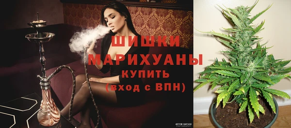 хмурый Каменка
