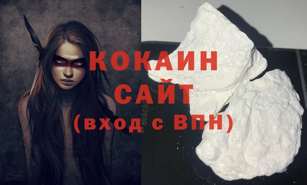 хмурый Каменка