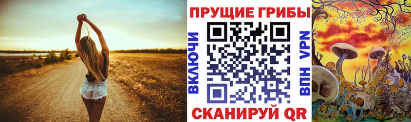 Псилоцибиновые грибы GOLDEN TEACHER  Купить  Невельск 
